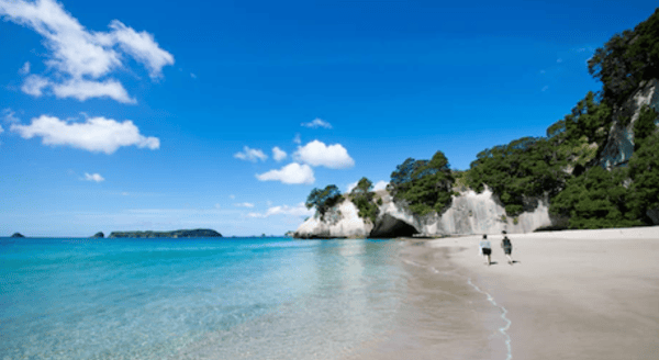 New Zealand beach scene